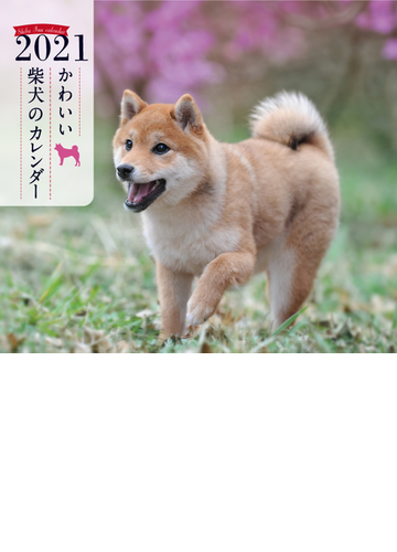 21年 ミニ判カレンダー かわいい柴犬のカレンダーの通販 井川俊彦 紙の本 Honto本の通販ストア