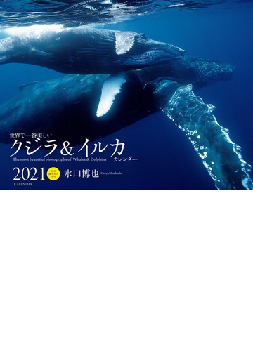 21年 ワイド判カレンダー 世界で一番美しいクジラ イルカ カレンダーの通販 水口博也 紙の本 Honto本の通販ストア