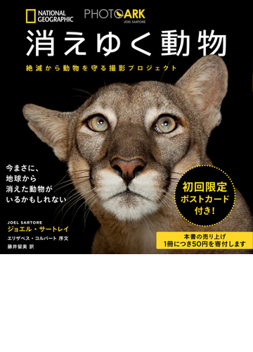 消えゆく動物 絶滅から動物を守る撮影プロジェクトの通販 ジョエル サートレイ 紙の本 Honto本の通販ストア