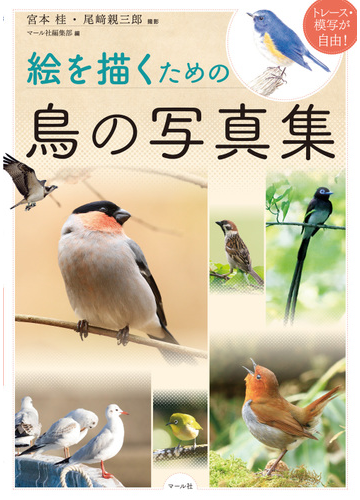 絵を描くための鳥の写真集 トレース 模写が自由 の通販 宮本 桂 尾崎 親三郎 紙の本 Honto本の通販ストア