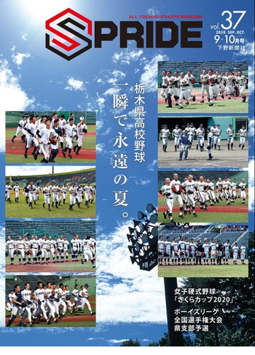 栃木 県 高校 野球