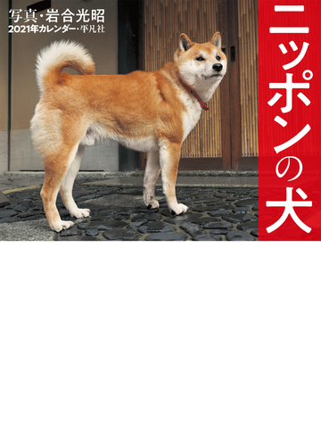 21年カレンダー ニッポンの犬の通販 岩合光昭 紙の本 Honto本の通販ストア