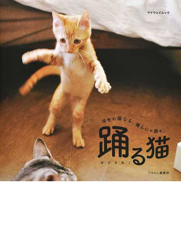 踊る猫 浮世の猫なら 踊らにゃ損々 の通販 にゃんこ編集部 紙の本 Honto本の通販ストア
