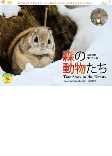 森の動物たちカレンダー 太田達也セレクションの通販 太田 達也 紙の本 Honto本の通販ストア