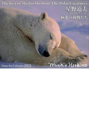星野道夫カレンダー 極北の動物たち ベストセレクションの通販 星野 道夫 写真 紙の本 Honto本の通販ストア