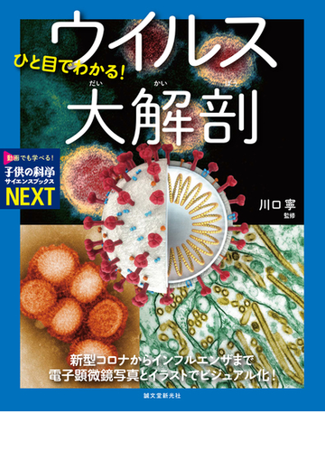 ひと目でわかる ウイルス大解剖 新型コロナからインフルエンザまで電子顕微鏡写真とイラストでビジュアル化 の通販 川口 寧 紙の本 Honto本の通販ストア