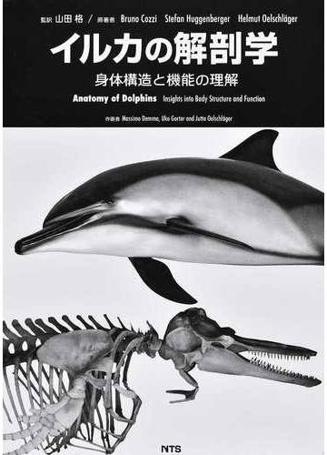 イルカの解剖学 身体構造と機能の理解の通販 ｂｒｕｎｏ ｃｏｚｚｉ ｓｔｅｆａｎ ｈｕｇｇｅｎｂｅｒｇｅｒ 紙の本 Honto本の通販ストア