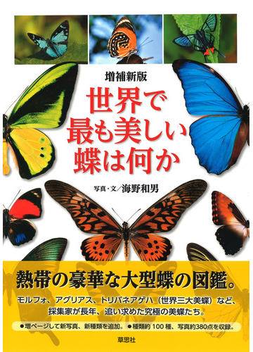 世界で最も美しい蝶は何か 増補新版の通販 海野和男 紙の本 Honto本の通販ストア