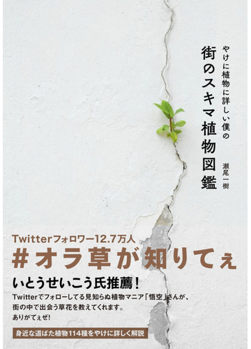 やけに植物に詳しい僕の街のスキマ植物図鑑の通販 瀬尾 一樹 紙の本 Honto本の通販ストア