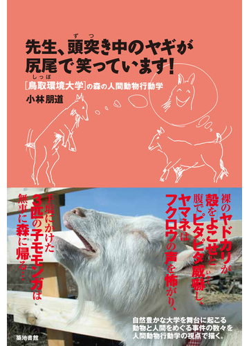 先生 頭突き中のヤギが尻尾で笑っています の通販 小林 朋道 紙の本 Honto本の通販ストア