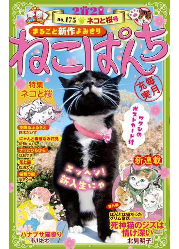 ねこぱんち No 175 ネコと桜号 漫画 の電子書籍 無料 試し読みも Honto電子書籍ストア