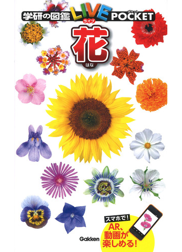 花の通販 北澤哲弥 廣瀬光子 紙の本 Honto本の通販ストア