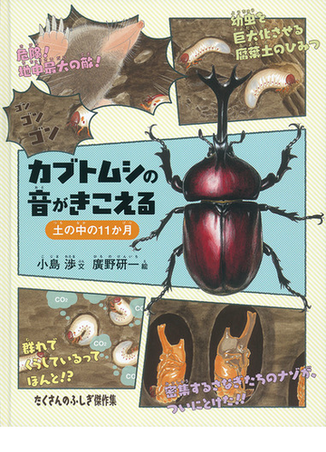 カブトムシの音がきこえる 土の中の１１か月の通販 小島渉 廣野研一 紙の本 Honto本の通販ストア