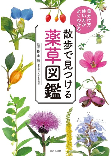 散歩で見つける薬草図鑑 見分け方 使い方がよくわかるの通販 指田 豊 紙の本 Honto本の通販ストア