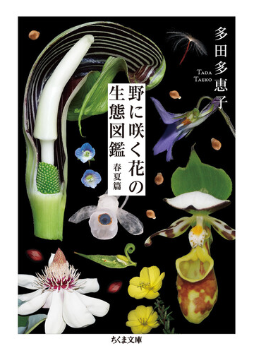 野に咲く花の生態図鑑 春夏篇の通販 多田 多恵子 ちくま文庫 紙の本 Honto本の通販ストア
