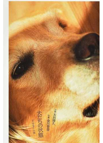 犬たちの状態の通販 太田 靖久 金川 晋吾 小説 Honto本の通販ストア