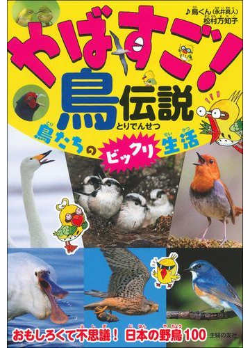 やばすご 鳥伝説 鳥たちのビックリ生活の通販 鳥くん 松村 万知子 紙の本 Honto本の通販ストア