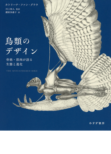 鳥類のデザイン 骨格 筋肉が語る生態と進化の通販 カトリーナ ファン グラウ 川上和人 紙の本 Honto本の通販ストア