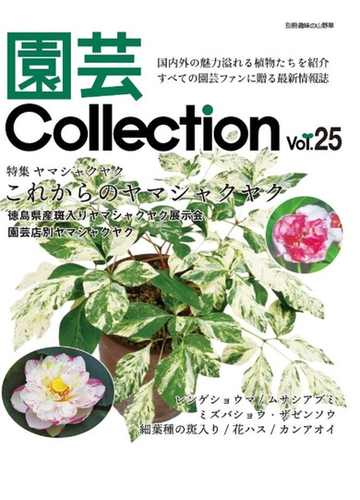 園芸ｃｏｌｌｅｃｔｉｏｎ ｖｏｌ ２５ 特集ヤマシャクヤク レンゲショウマ ムサシアブミ 花ハスの通販 栃の葉書房 栃の葉書房 紙の本 Honto本の通販ストア