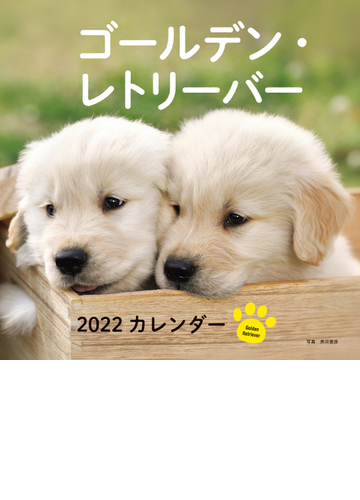 22年 カレンダー ゴールデン レトリーバーの通販 井川 俊彦 紙の本 Honto本の通販ストア