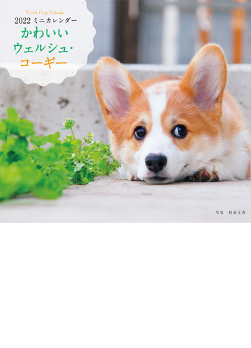 22年 カレンダー かわいいウェルシュ コーギー 100名様に1 000円分の図書カードをプレゼント の通販 蜂巣 文香 紙の本 Honto本の通販ストア