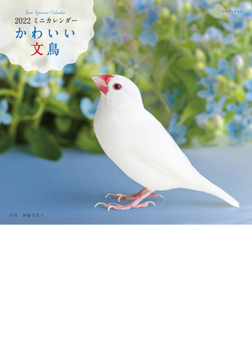 22年 カレンダー かわいい文鳥の通販 伊藤 美代子 紙の本 Honto本の通販ストア