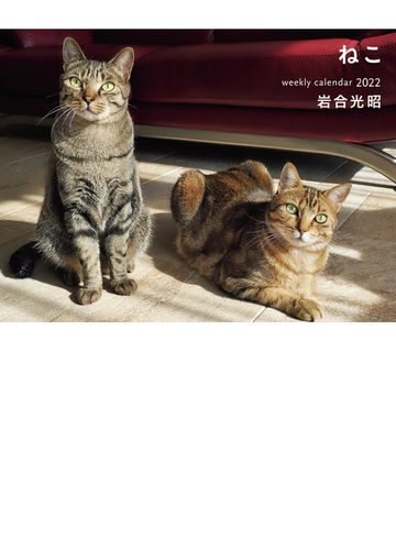 22 岩合光昭ねこ Weekly Calendarの通販 岩合光昭 岩合光昭 紙の本 Honto本の通販ストア