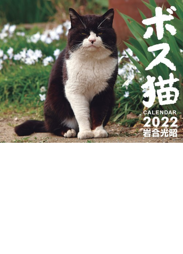ボス猫カレンダー22の通販 岩合光昭 紙の本 Honto本の通販ストア