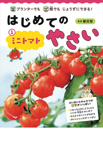 はじめてのやさい プランターでも畑でもじょうずにできる １ ミニトマトの通販 藤田 智 紙の本 Honto本の通販ストア