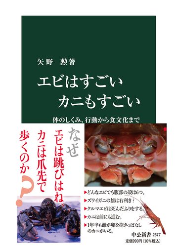 エビはすごいカニもすごい 体のしくみ 行動から食文化までの通販 矢野 勲 中公新書 紙の本 Honto本の通販ストア