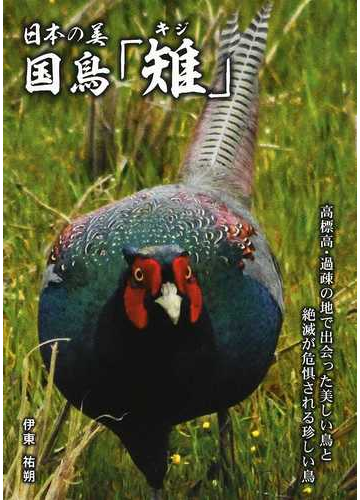 日本の美 国鳥 雉 高標高 過疎の地で出会った美しい鳥と絶滅が危惧される珍しい鳥の通販 伊東 祐朔 紙の本 Honto本の通販ストア