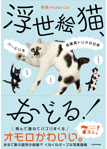 浮世絵猫 おどる バーにいる保護猫トリオの日常の通販 熱海ｍｕｄｄｙ ｃａｔ 紙の本 Honto本の通販ストア
