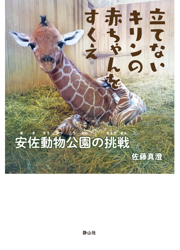 立てないキリンの赤ちゃんをすくえ 安佐動物公園の挑戦の通販 佐藤 真澄 紙の本 Honto本の通販ストア