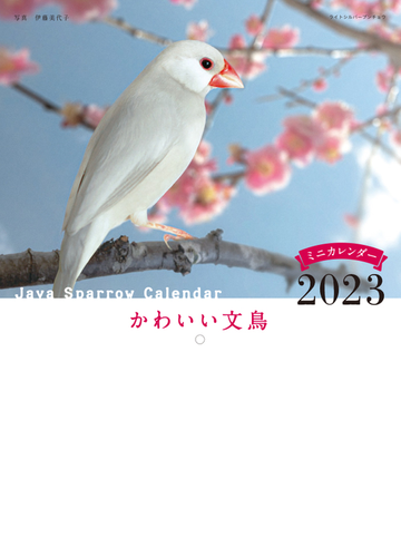 23年カレンダー かわいい文鳥の通販 伊藤 美代子 紙の本 Honto本の通販ストア