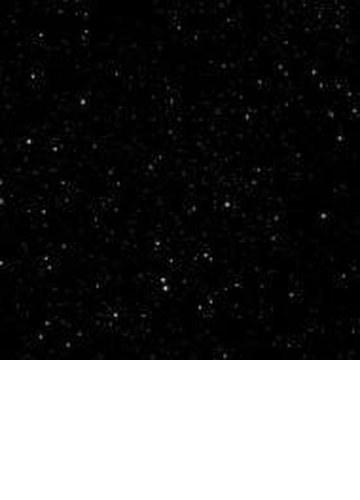 Utada Hikaru Single Collection Vol 2 Cd 2枚組 宇多田ヒカル Toct Music Honto本の通販ストア