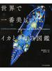 世界で一番美しいイカとタコの図鑑