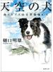 南アルプス山岳救助隊Ｋ-９ 天空の犬