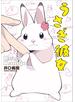 うさぎ彼女
