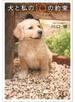 犬と私の10の約束