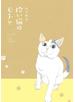 拾い猫のモチャ