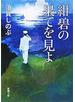 紺碧の果てを見よ（新潮文庫）