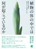 植物の体の中では何が起こっているのか
