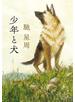 少年と犬