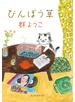 びんぼう草
