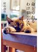 命とられるわけじゃない