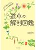 道草の解剖図鑑