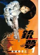 【期間限定 無料】銃夢（１）