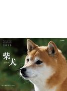 柴犬 （２０１５年カレンダー）