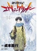 新世紀エヴァンゲリオン(14)