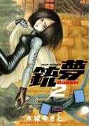 【期間限定 無料】銃夢（２）
